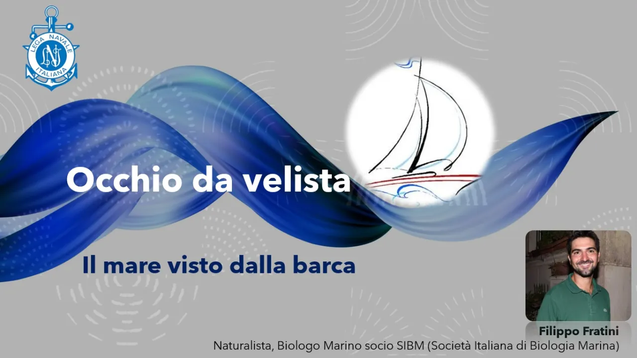 webinar-biologo-il-mare-visto-dalla-barca